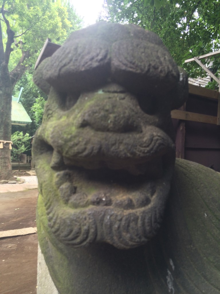 天祖神社狛犬