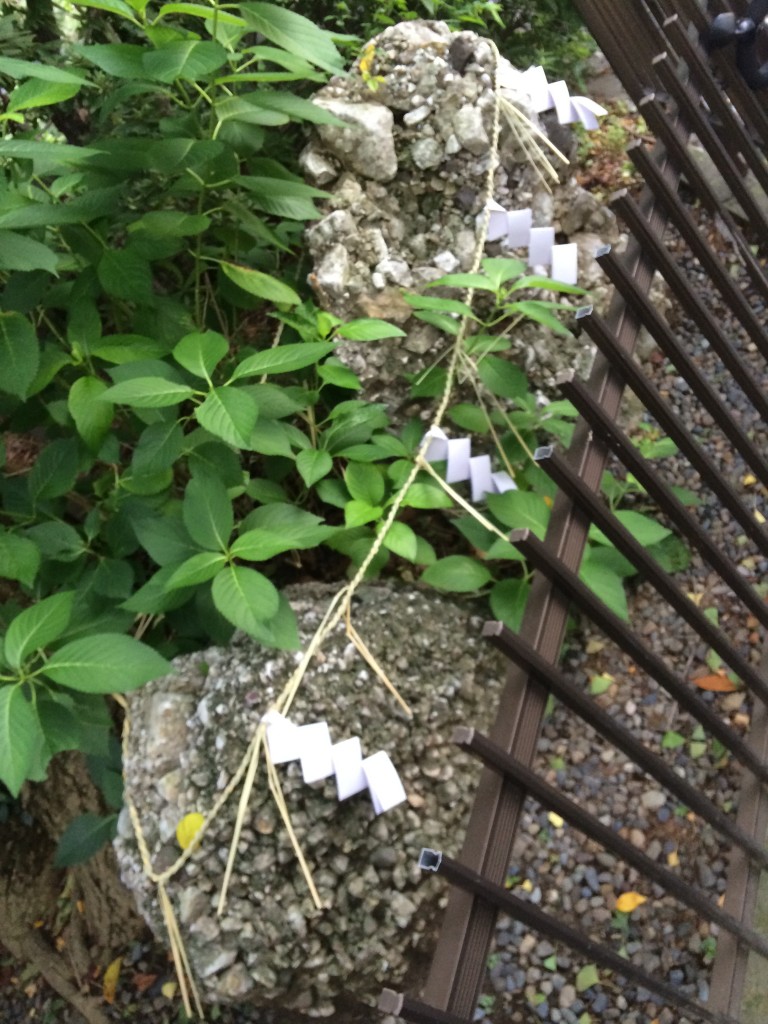 日枝神社 さざれ石