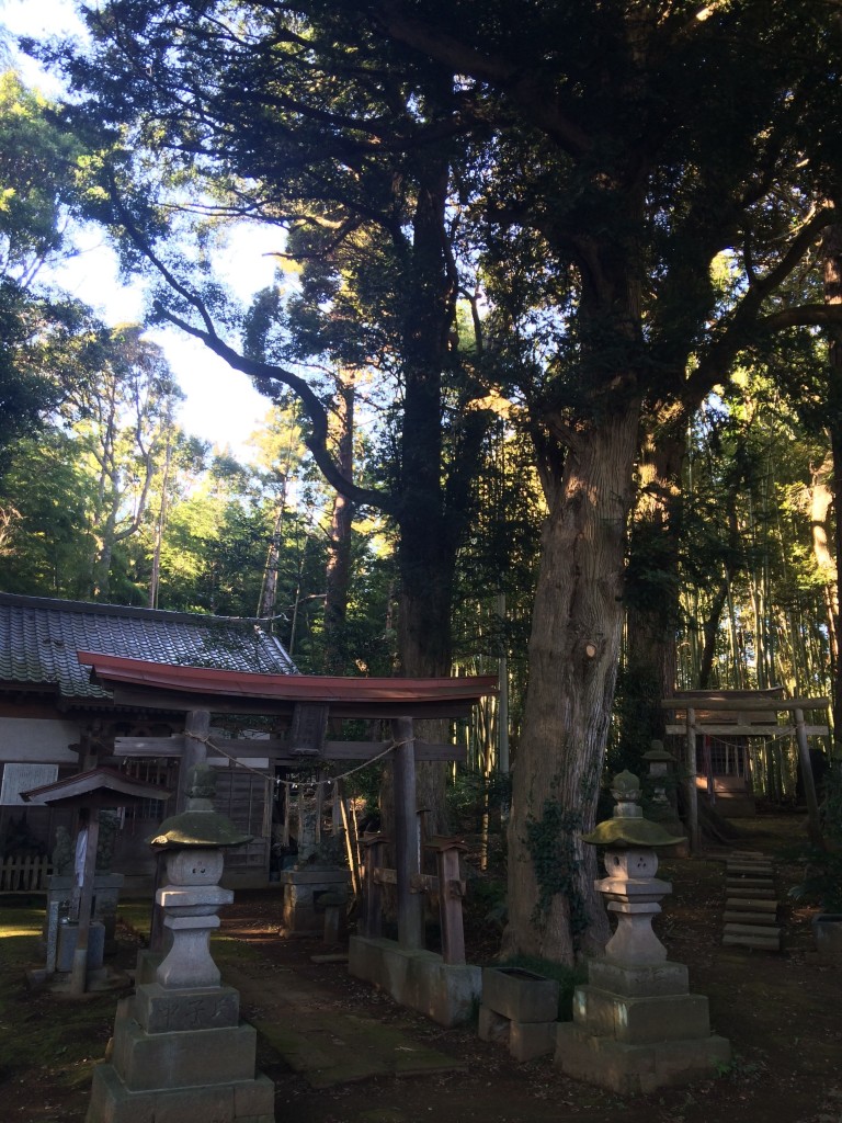 熊野神社