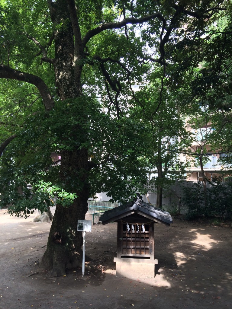 氷川神社（舎人）