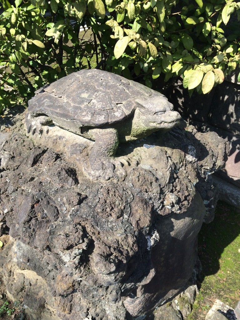 隅田川神社 亀
