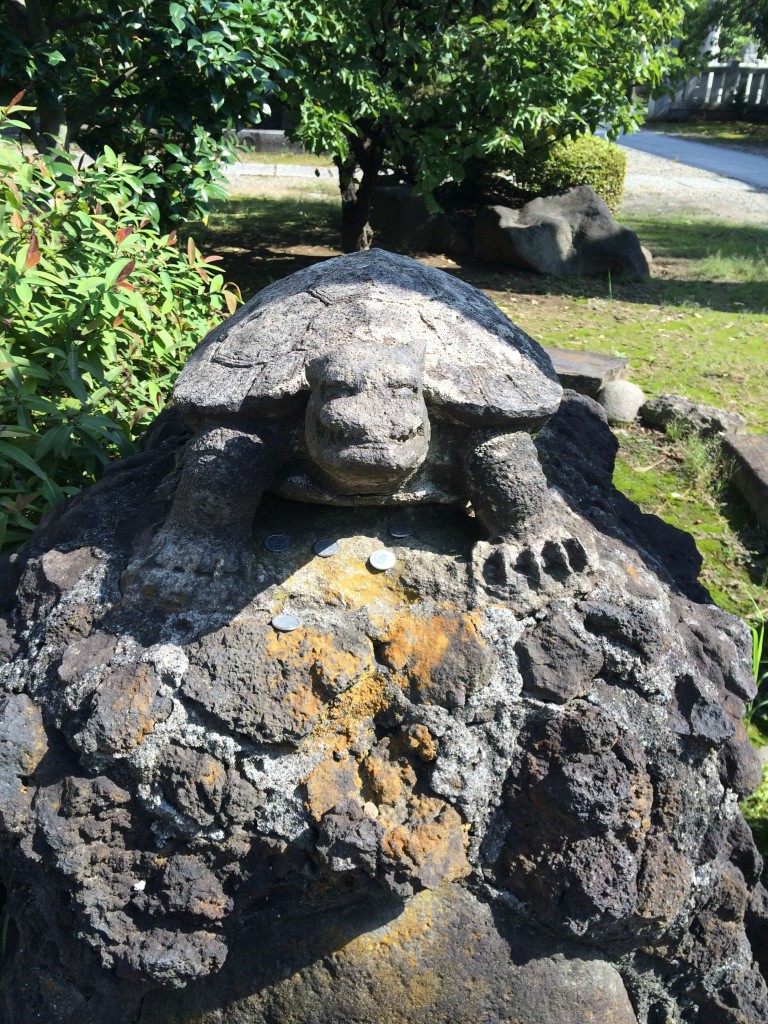 隅田川神社 亀