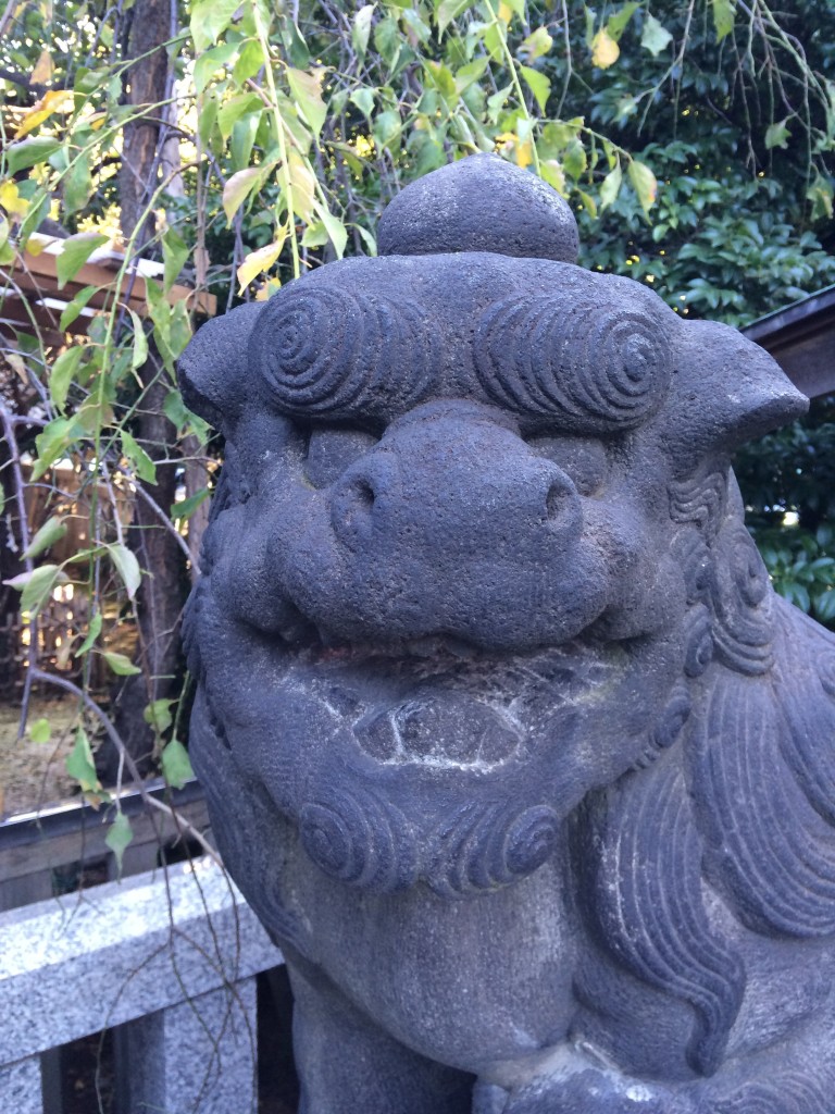 牛天神北野神社 狛犬近影