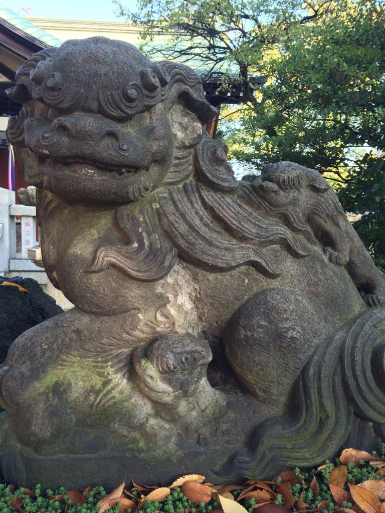 白山神社狛犬近影