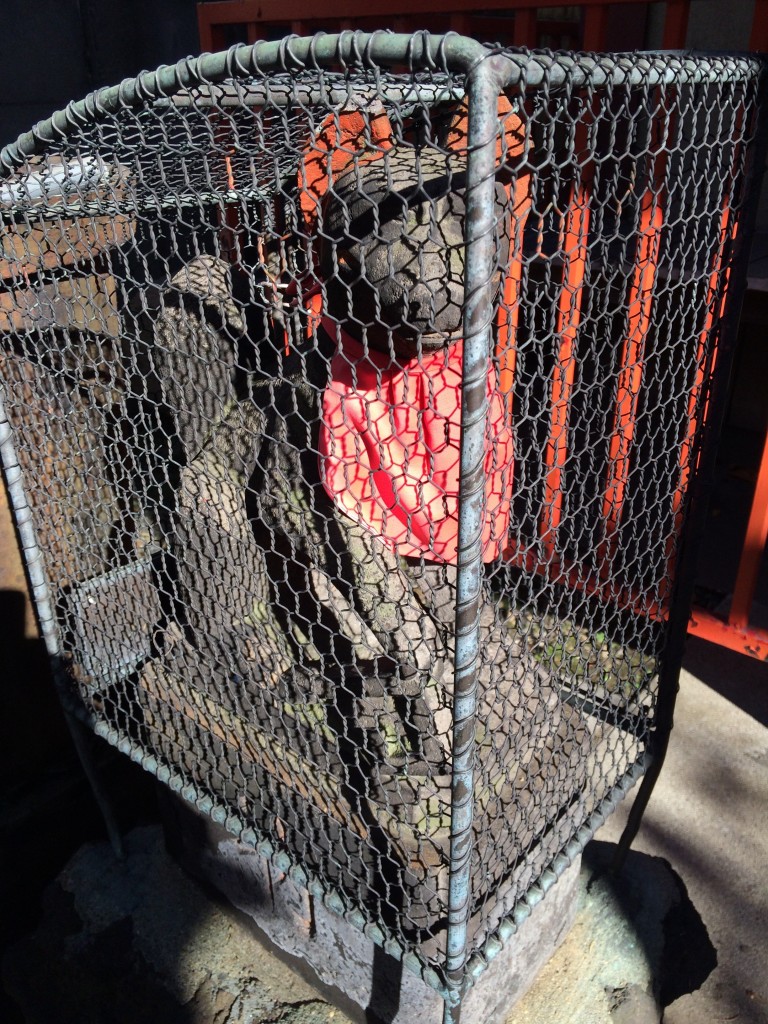 佐賀稲荷神社 狐