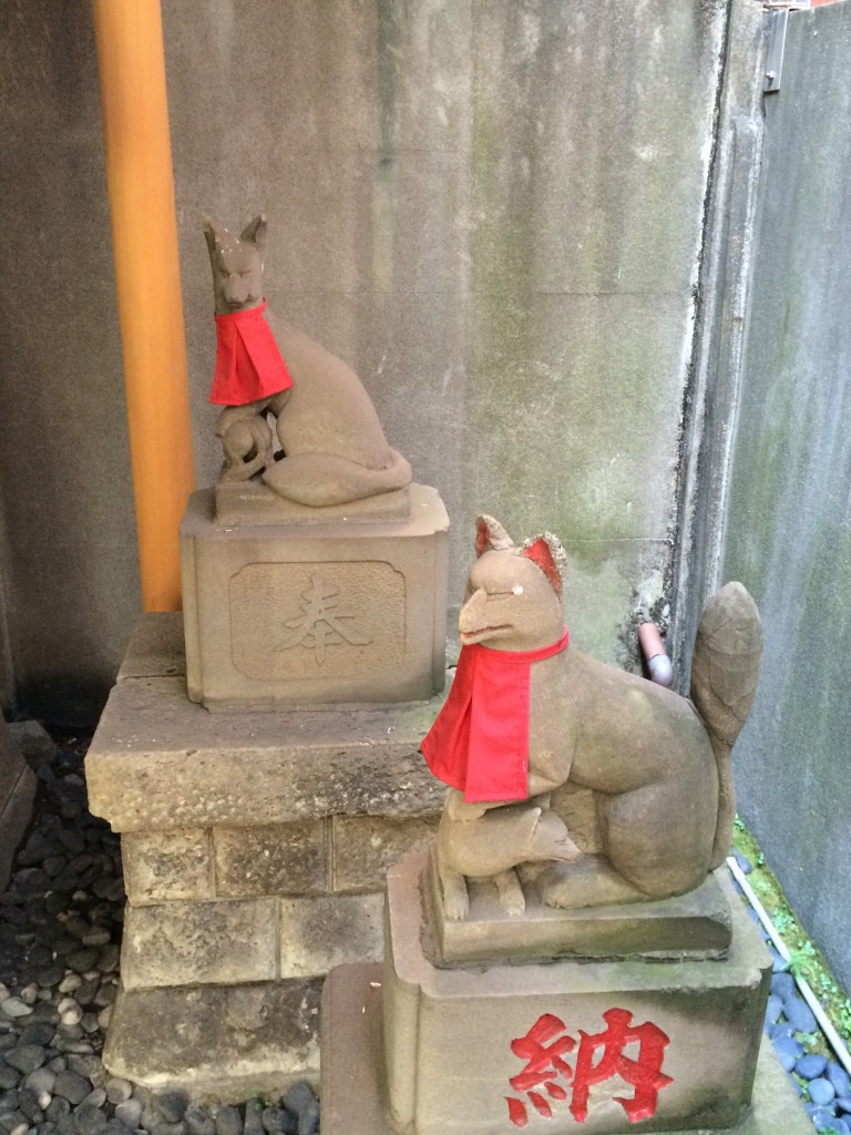 大廣神社 狐