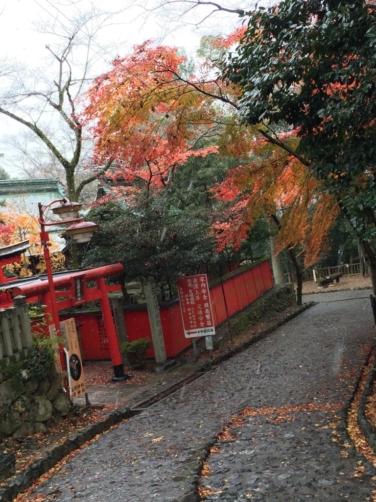 三光稲荷神社 裏