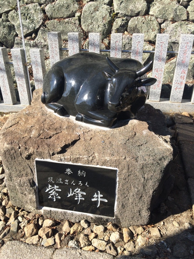 筑波山神社 紫峰牛